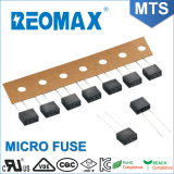 MTS 250V Time-Lag Radial Lead Micro Fuse